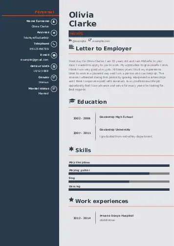 Midwife resume example